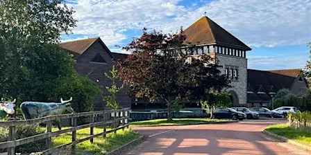 DORKING The Big Purple Psychic & Holistic Fair