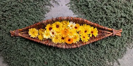 Willow Harvest Basket (Fall 2026)