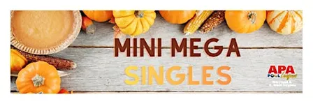APA 2026 Thanksgiving Eve 9-Ball Mini Mega Singles Tournament
