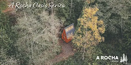 Oasis Series with Dr. Rod Wilson