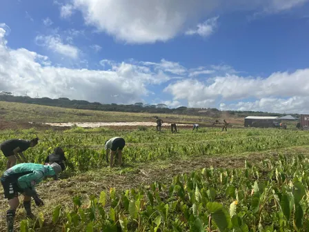 Oʻahu Community Work Day Registration - Kumano I Ke Ala