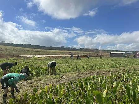 Oʻahu Community Work Day Registration - Kumano I Ke Ala