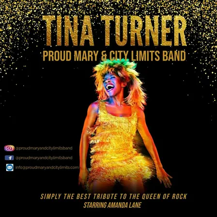 Tina Turner Tribute - Proud Mary & City Limits Band / Enniscorthy Wexford
