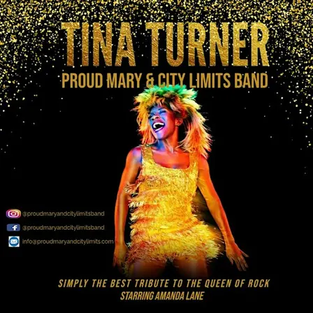 Tina Turner Tribute - Proud Mary & City Limits Band / Enniscorthy Wexford