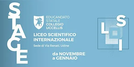 Liceo Scientifico Internazionale - STAGE 2026
