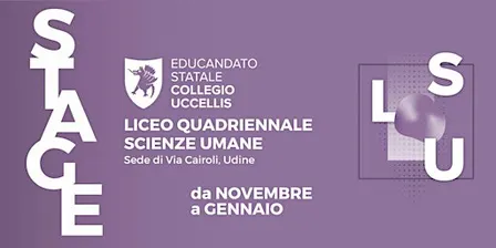 Liceo Quadriennale delle Scienze Umane - STAGE 2026