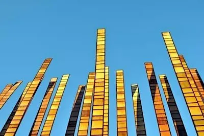 Composition in the Field - Photography Workshop