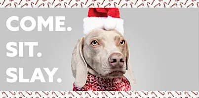 Santa Paws at Stamford Town Center