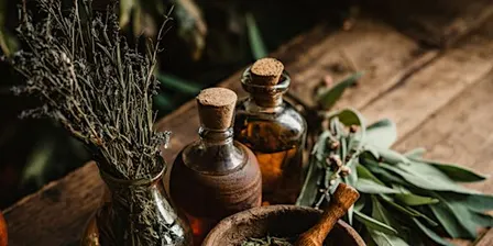 Herbs for Rest & Reflection: Dreamwork & Stillness