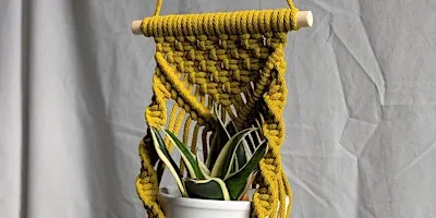 Macrame Wall Planter Workshop