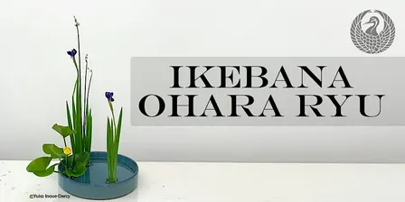 Autumn Harmony: 1-Day Ohara-Ryu Ikebana Workshop