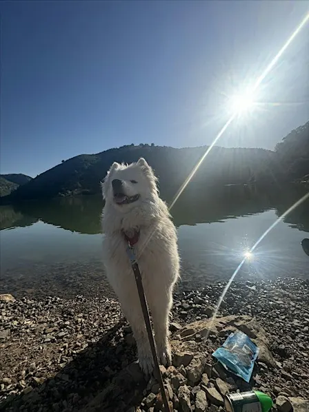 Witches Paddle – Bring Your Broom (and Board)! at Causey Reservoir