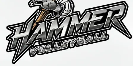 Hammer Volleyball