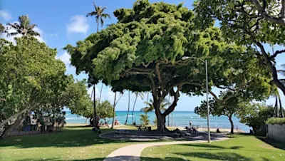 Sunset Yoga at Mākālei - MONDAYS