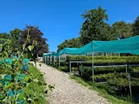 Nursery Maintenance at Dartington