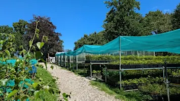 Nursery Maintenance at Dartington