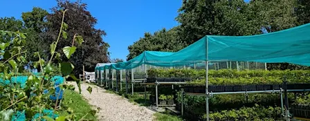 Nursery Maintenance at Dartington