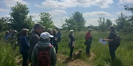 Nature Walk at Martlesham Wilds (WG5)