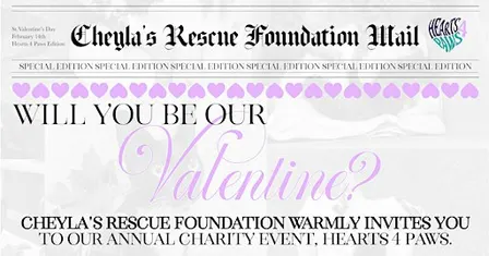 Hearts 4 Paws 2027