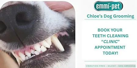 Cronins Canine Companions Emmi-Pet Dog Teeth Cleaning Clinic, wi