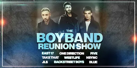 The Boyband Reunion Show – Live Tribute Party Night!