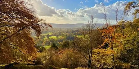 Autumn Retreat