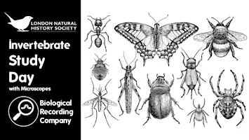 Invertebrate Study Day