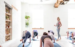 Pelvic Health Immersive - Belle Teacher Training  with Nikki Bergen