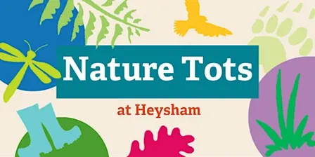 Nature Tots at Heysham Nature Reserve