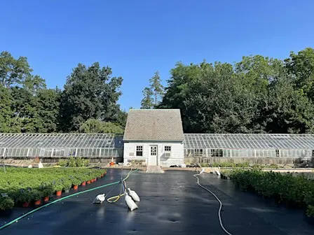 Stewardship Sunday:  Nissequogue Greenhouse Director's Path/Assorted Tasks