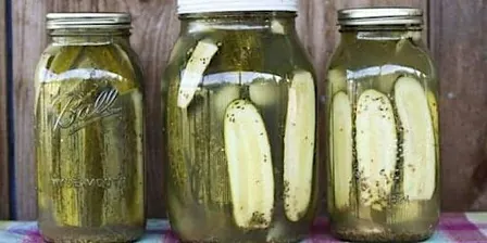 Pickles 101