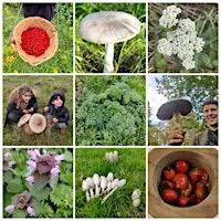 Autumn wild food walk in Surrey