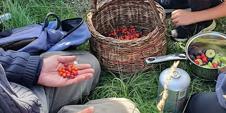 Autumn wild food walk in Surrey with wild fruit stock making demonstration