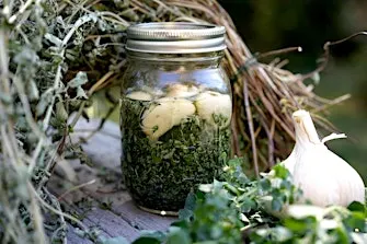 Winter Wellness: 3 Home Remedies for Cold and Flu Season