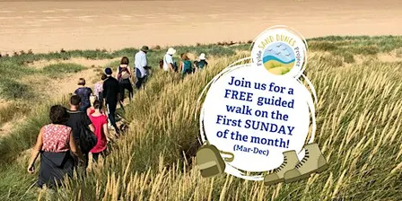 Guided Walk: Discover the Fylde Sand Dunes