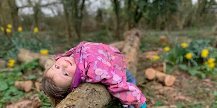 Wild Kids: Forest weekday fun for 8-11 yr olds (ECC 2808)