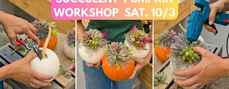 Succulent Pumpkin Workshop @ Smucker Gardens