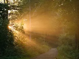 Knowing, Not Knowing, and Inner Knowing: A Practice for Turbulent Times