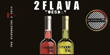 Two Flava Tuesday - Winemaking Experience {LAWRENCEVILLE}