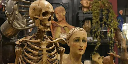 Torino Horror Story