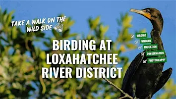Birding at the Loxahatchee River District with the River Center