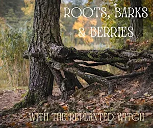 Roots, Barks and Berries