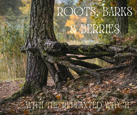 Roots, Barks and Berries