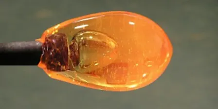 Glass Blowing Level One Workshop: Better Bubbles | 2026