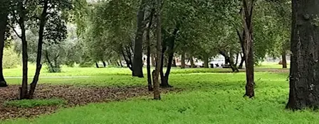 Edenvale Park Monthly Clean Up