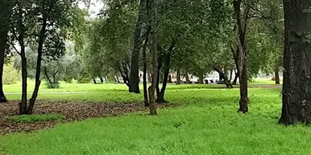Edenvale Park Monthly Clean Up
