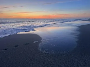 Practice Mindfulness at Sunrise Sangha Meditation Sessions