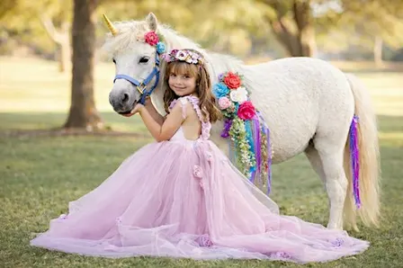 End of the Year Unicorn Princess Party