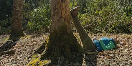 Forest Bathing @ the NC Arboretum