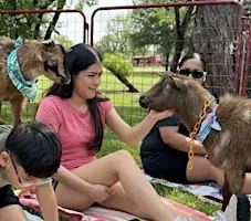 Goat Yoga McKinney The Stix!